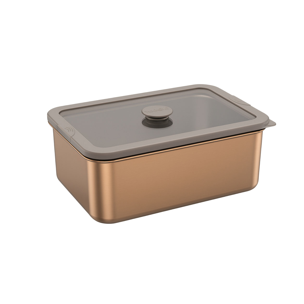 Brown PVD Stainless Steel Food Container with Matching Glass Lid| BTP01 - 图片 5