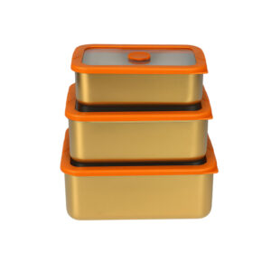Gold PVD Food Storage Container with Orange Center-Vent Glass Lid| BTP01